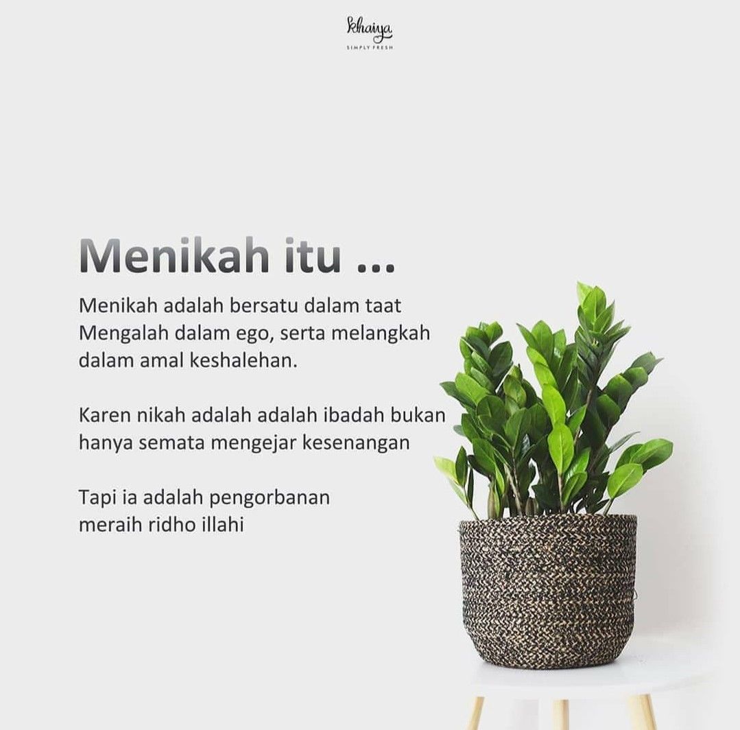 Quotes Pernikahan Lucu - KibrisPDR