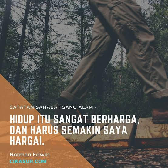 Detail Quotes Remaja Bijak Nomer 34