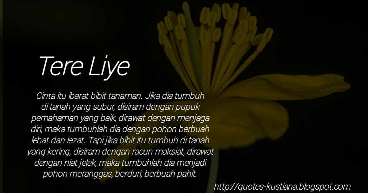 Detail Quotes Rindu Tere Liye Nomer 33