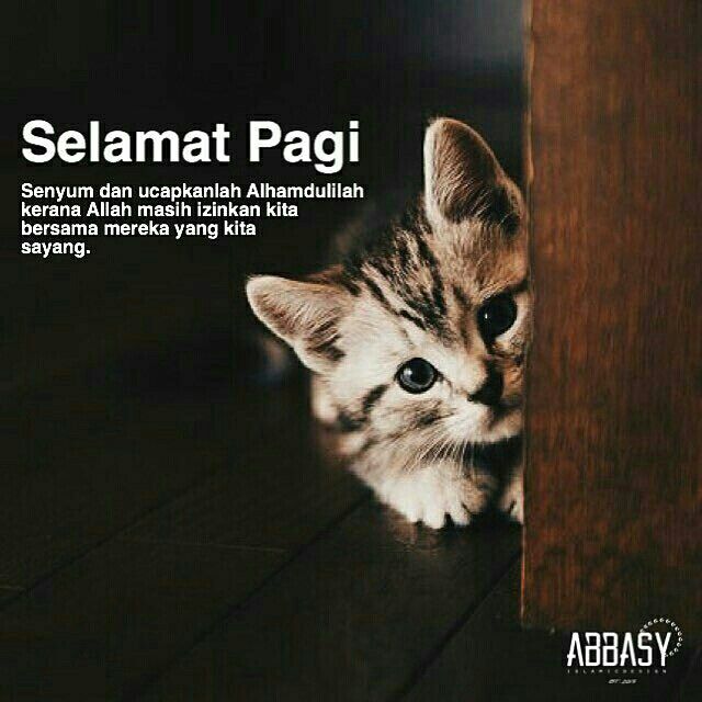 Detail Quotes Selamat Pagi Singkat Nomer 16