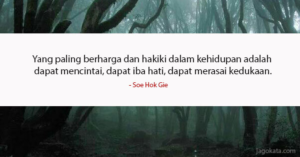 Detail Quotes Soe Hok Gie Tentang Gunung Nomer 15