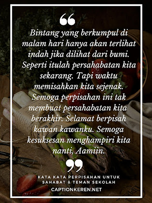 Download Quotes Teman Seperjuangan Nomer 37