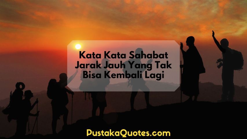 Detail Quotes Teman Seperjuangan Nomer 39