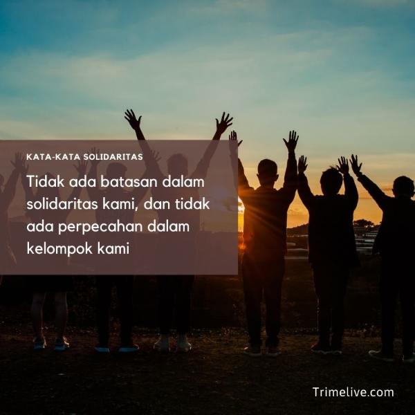 Detail Quotes Teman Seperjuangan Nomer 9