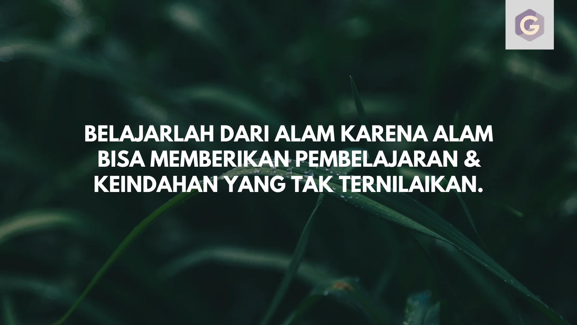 Detail Quotes Tentang Alam Nomer 7