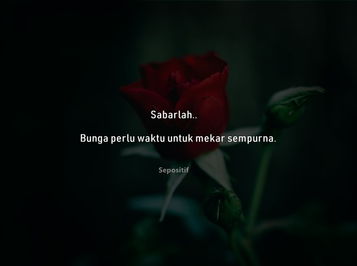 Quotes Tentang Bunga - KibrisPDR