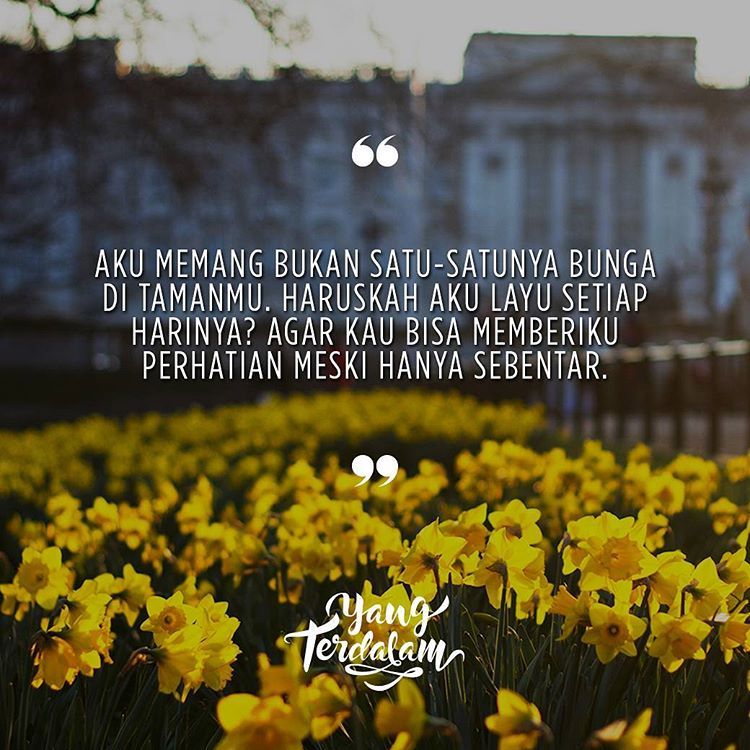 Detail Quotes Tentang Bunga Nomer 6