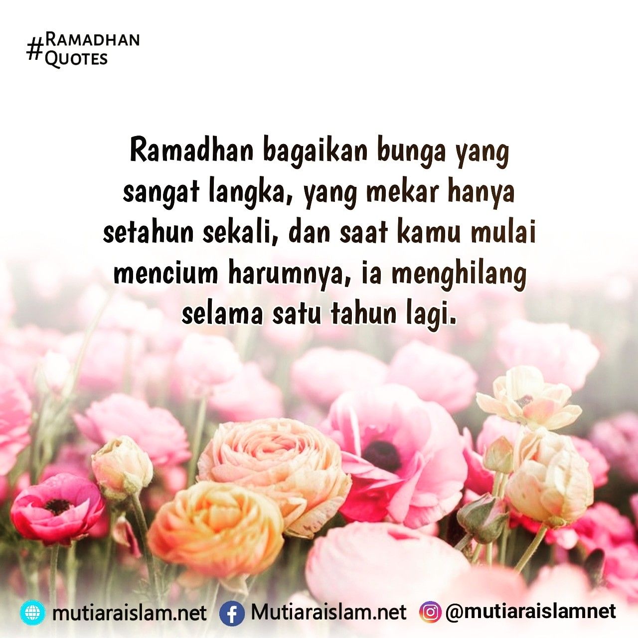 Detail Quotes Tentang Bunga Nomer 47