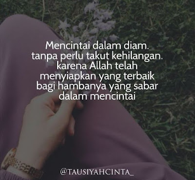 Detail Quotes Tentang Cinta Dalam Diam Nomer 3