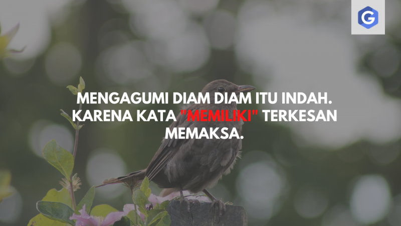 Detail Quotes Tentang Cinta Dalam Diam Nomer 8