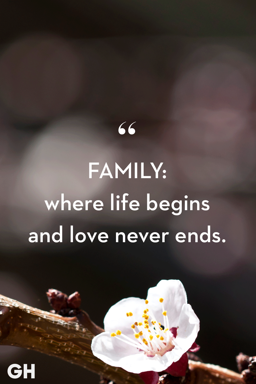 Detail Quotes Tentang Family Nomer 5