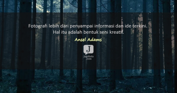 Detail Quotes Tentang Fotografi Nomer 17