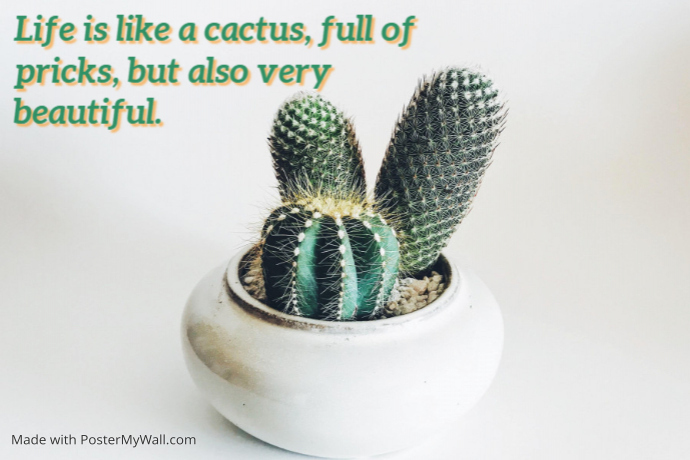 Detail Quotes Tentang Kaktus Nomer 8