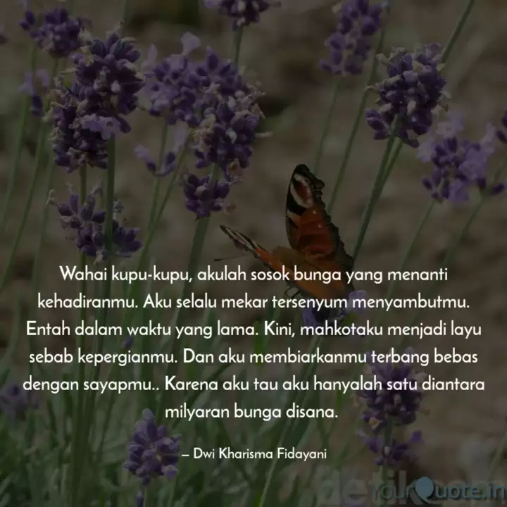 Detail Quotes Tentang Kupu Kupu Nomer 4