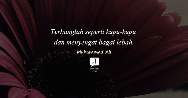 Detail Quotes Tentang Kupu Kupu Nomer 6