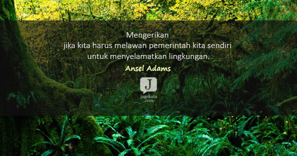 Detail Quotes Tentang Lingkungan Nomer 3