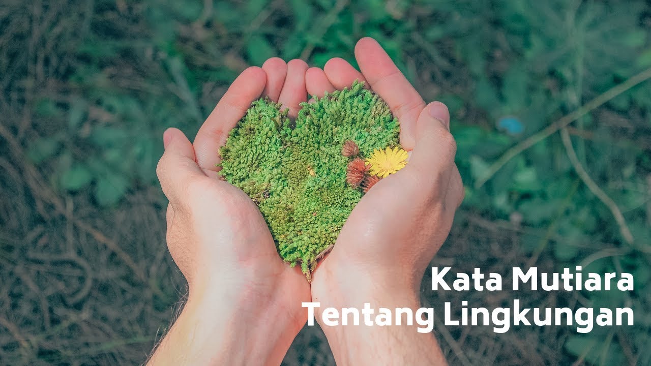 Detail Quotes Tentang Lingkungan Nomer 7