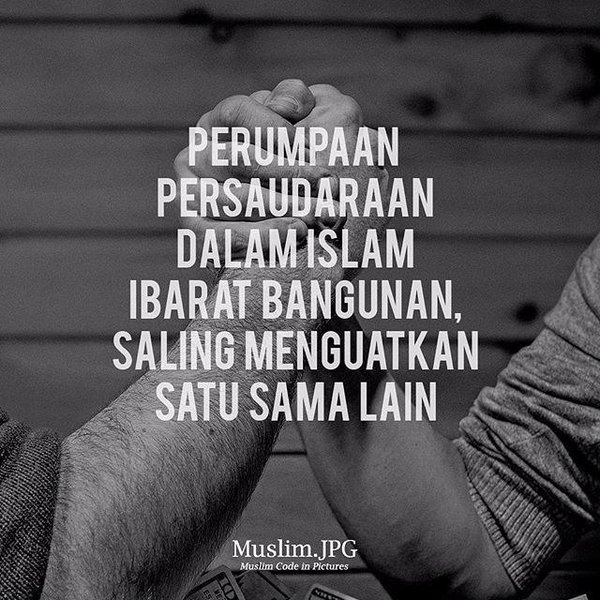 Detail Quotes Tentang Persaudaraan Nomer 42