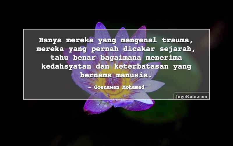 Detail Quotes Trauma Cinta Nomer 14