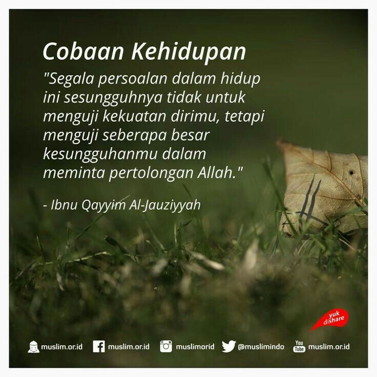 Detail Quotes Ujian Hidup Nomer 8