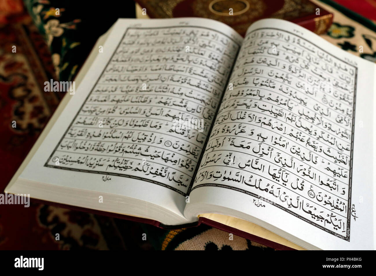 Detail Quran Images Nomer 53