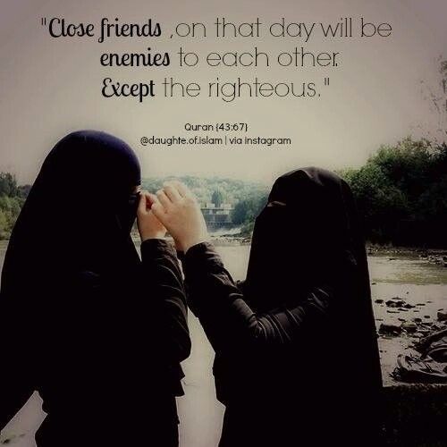 Detail Quran Quotes About Friendship Nomer 26