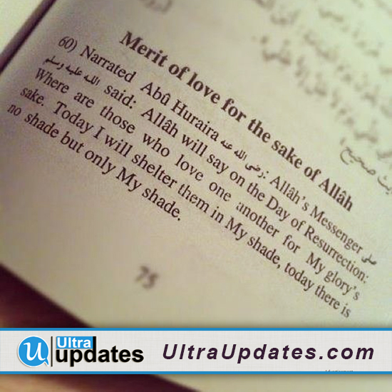 Detail Quran Quotes About Love Nomer 41