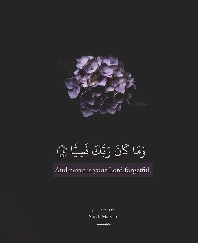 Detail Quran Quotes About Love Nomer 9