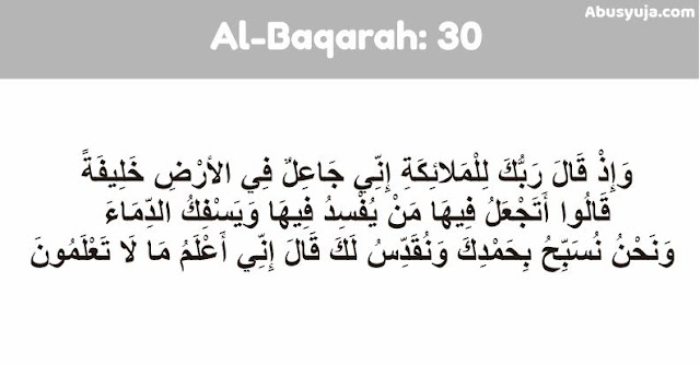 Detail Quran Surat Al Baqarah Ayat 30 Nomer 24