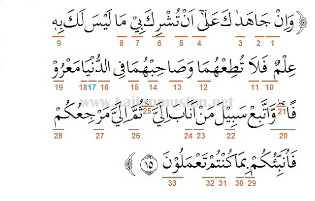 Detail Quran Surat Al Luqman Ayat 14 Nomer 27