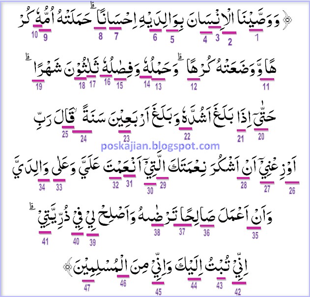 Detail Quran Surat Al Luqman Ayat 14 Nomer 43