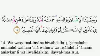 Detail Quran Surat Al Luqman Ayat 14 Nomer 10