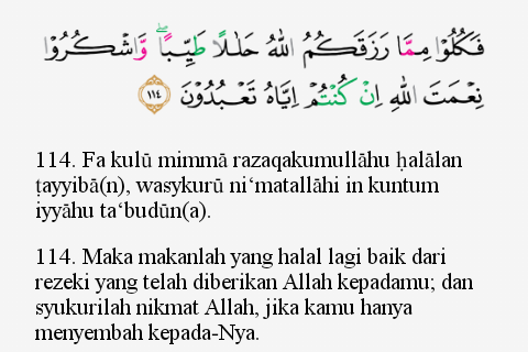 Detail Quran Surat An Nahl Ayat 16 Nomer 19