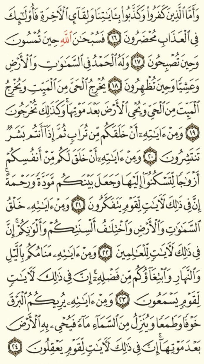 Detail Quran Surat Ar Rum Ayat 30 Nomer 38