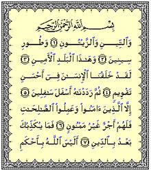 Detail Quran Surat At Tin Nomer 16