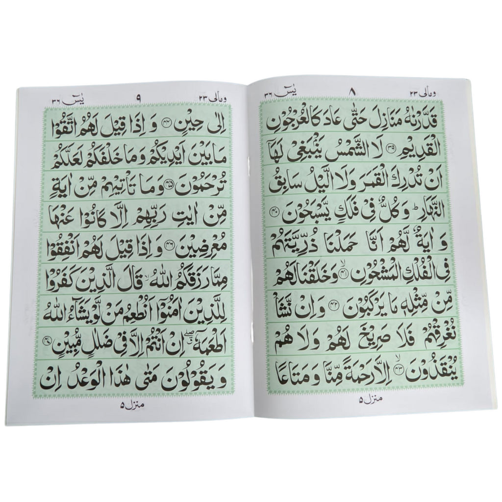 Detail Quran Surat Yasin Nomer 43