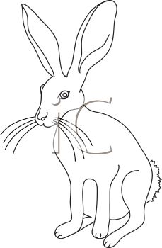 Detail Rabbit Black And White Clipart Nomer 36