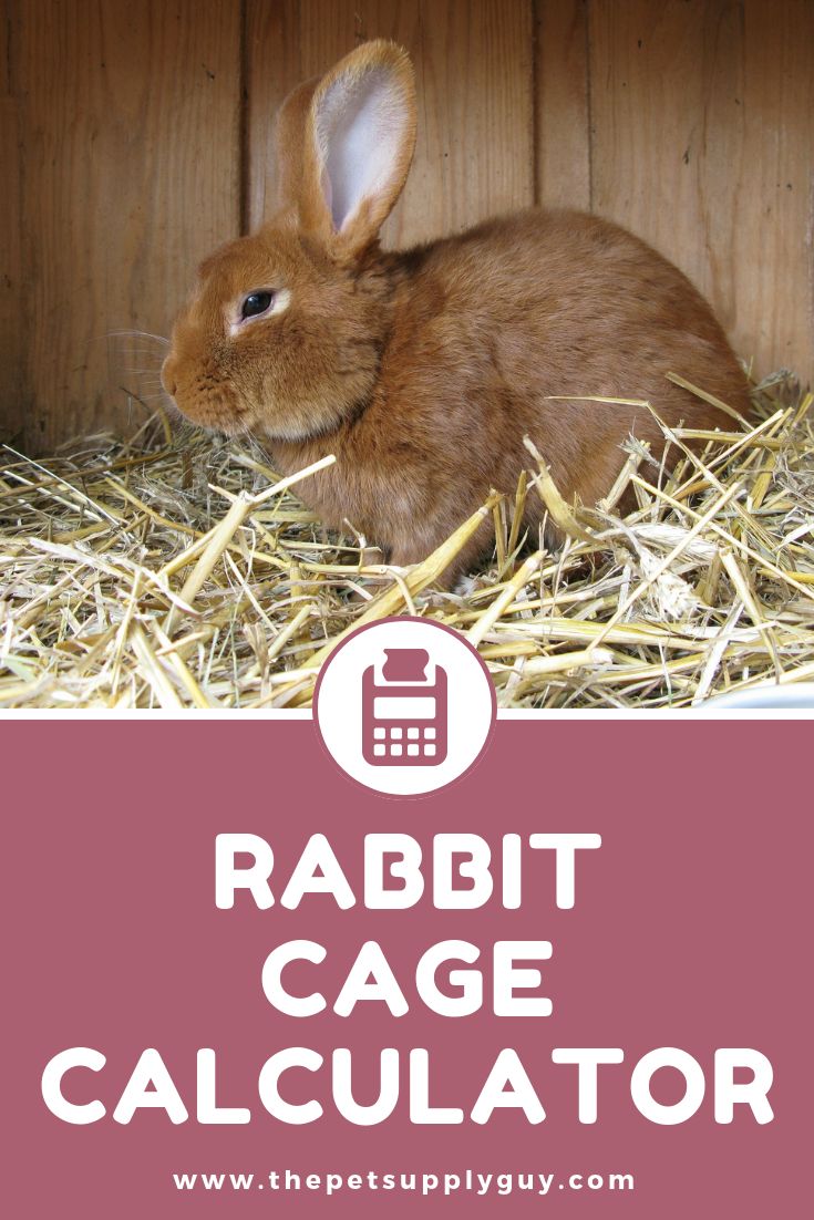 Detail Rabbit Cage Calculator Nomer 29