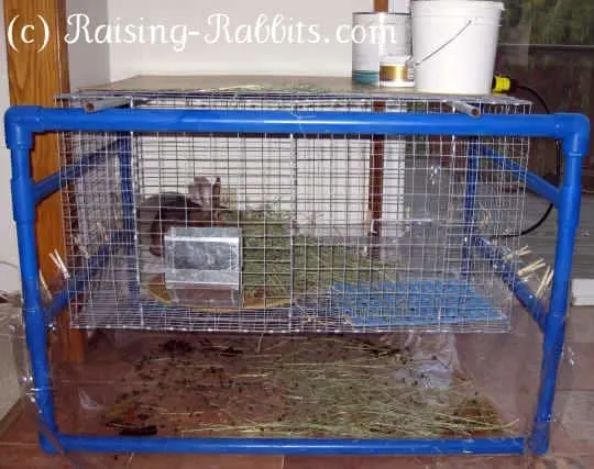 Detail Rabbit Cage Calculator Nomer 37