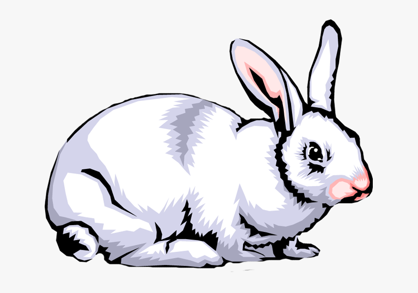 Detail Rabbit Clipart Transparent Background Nomer 17