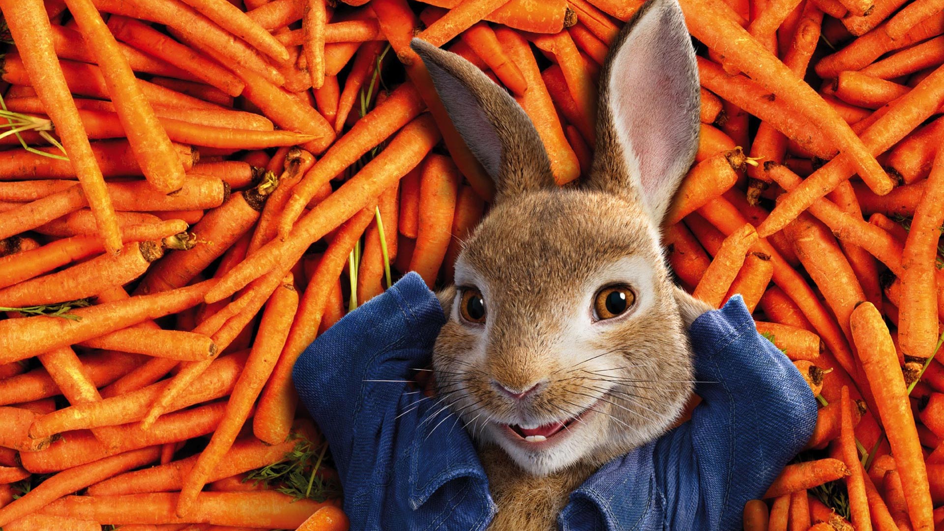 Detail Rabbit Hd Nomer 32