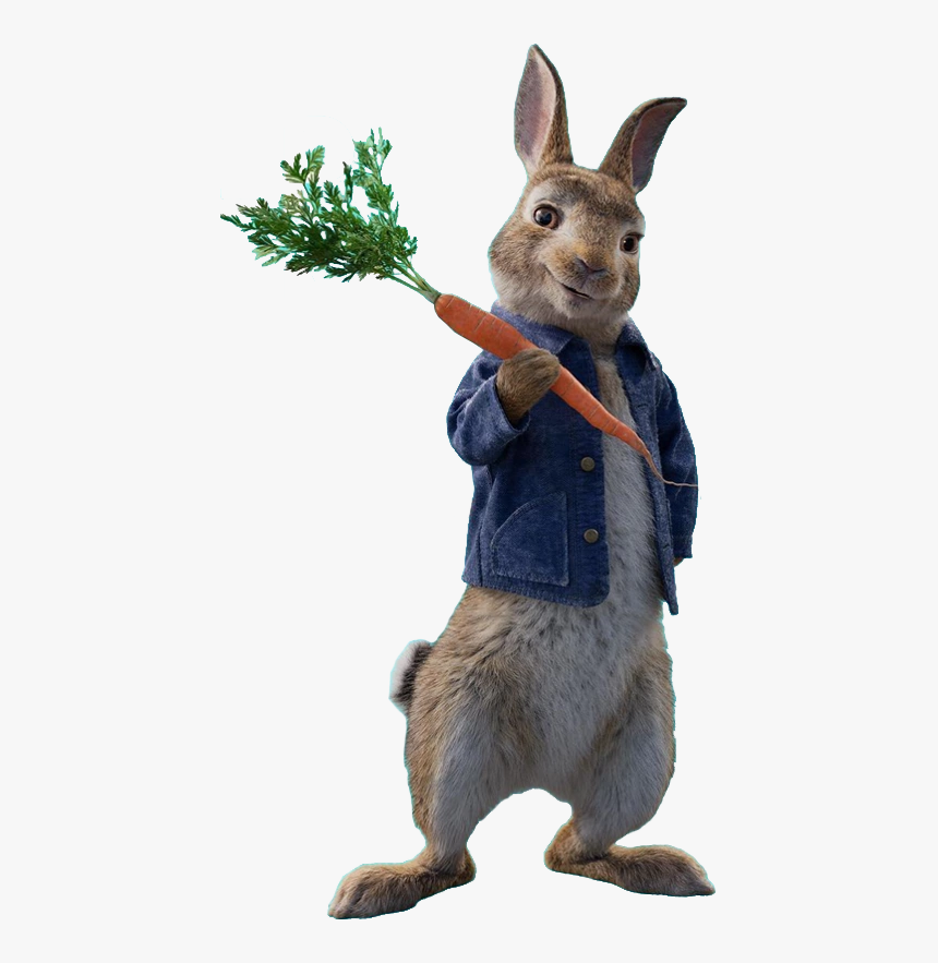 Detail Rabbit Hd Nomer 47