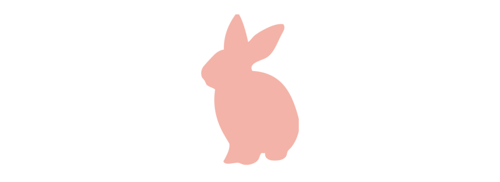 Detail Rabbit Image Nomer 40