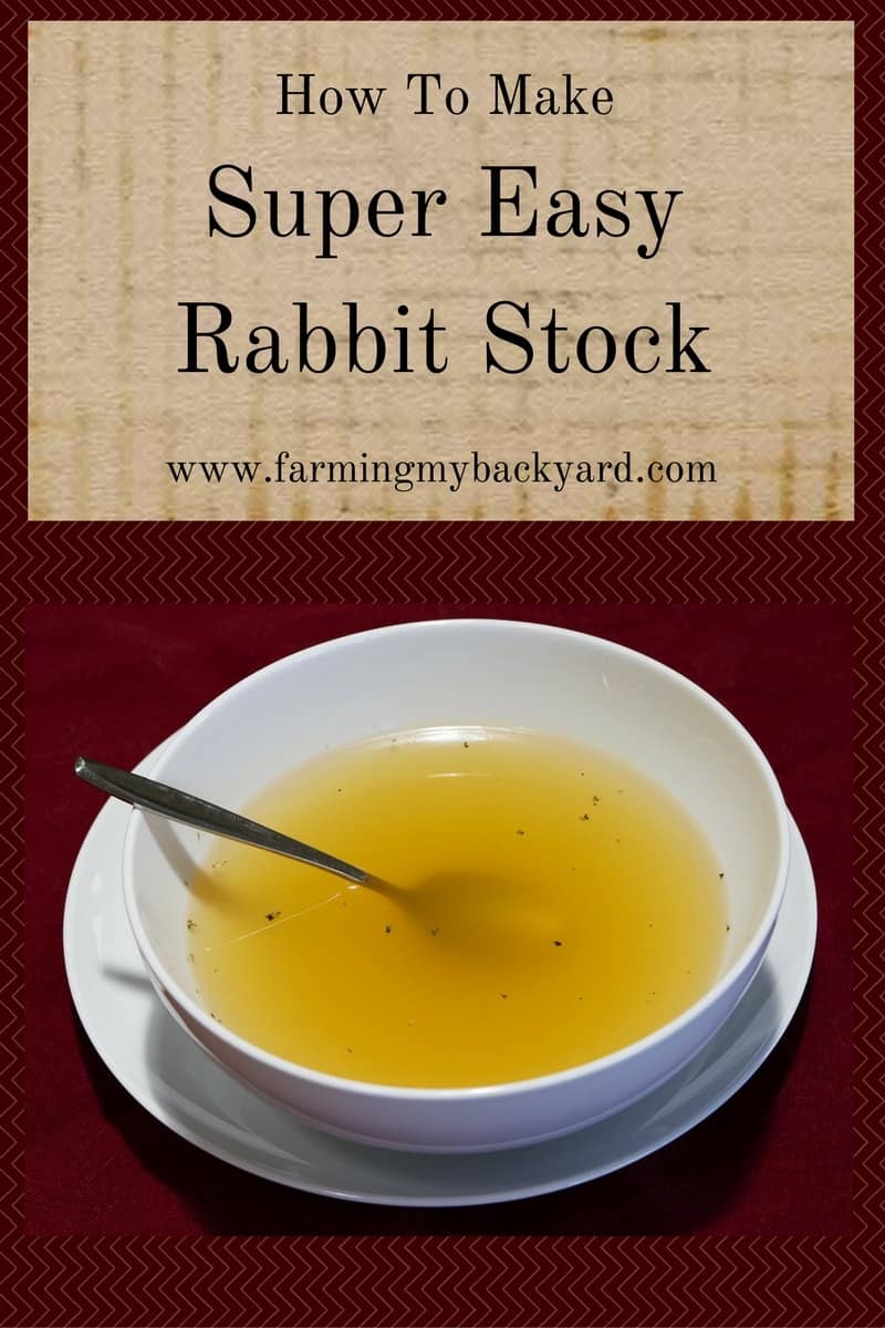 Detail Rabbit Stock Photo Nomer 27
