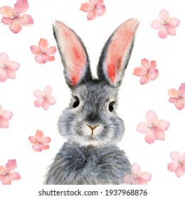 Detail Rabbit Stock Photo Nomer 46