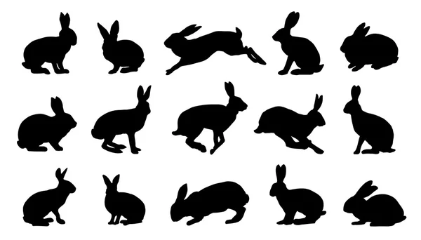 Detail Rabbit Stock Photo Nomer 49