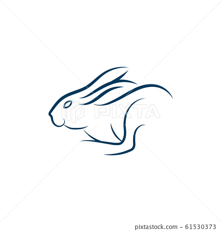 Detail Rabbit Stock Photo Nomer 54