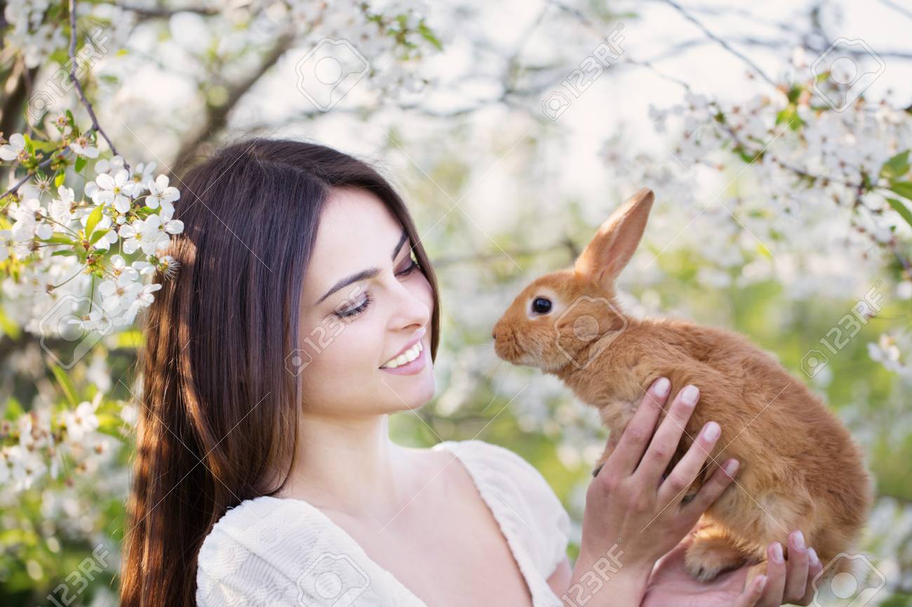 Detail Rabbit Stock Photo Nomer 55