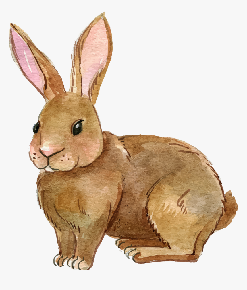 Detail Rabbit Transparent Nomer 34