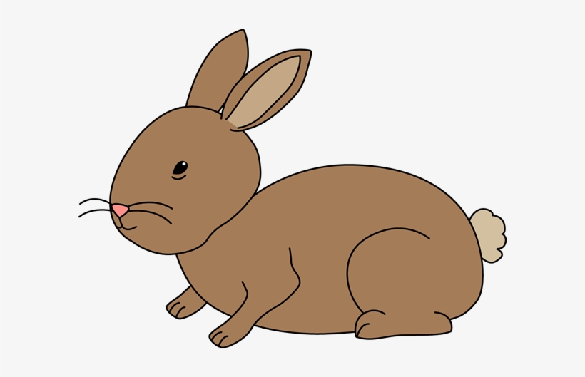 Detail Rabbit Transparent Background Nomer 24